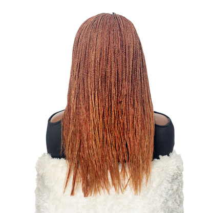 Sheyla Mini Knotless Braids - 22" 13x4 Lace Frontal Color 27/350 Mixed