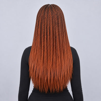 Sheyla Micro Knotless Braids - 22" 13x4 Lace Frontal Color 27/350 Mixed
