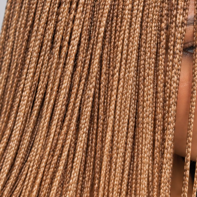 Ashley Knotless braids - 26” 5x5 Glueless Closure HD Color 613/30 Mixed