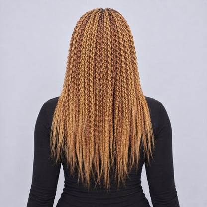Sydney Spiral Twists - 20" 13x5 Lace Frontal Color 27/30
